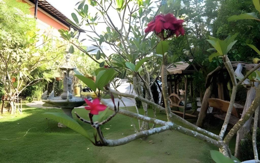 פאתאלונג City Park Hotel מראה חיצוני תמונה